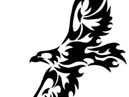 Hawk